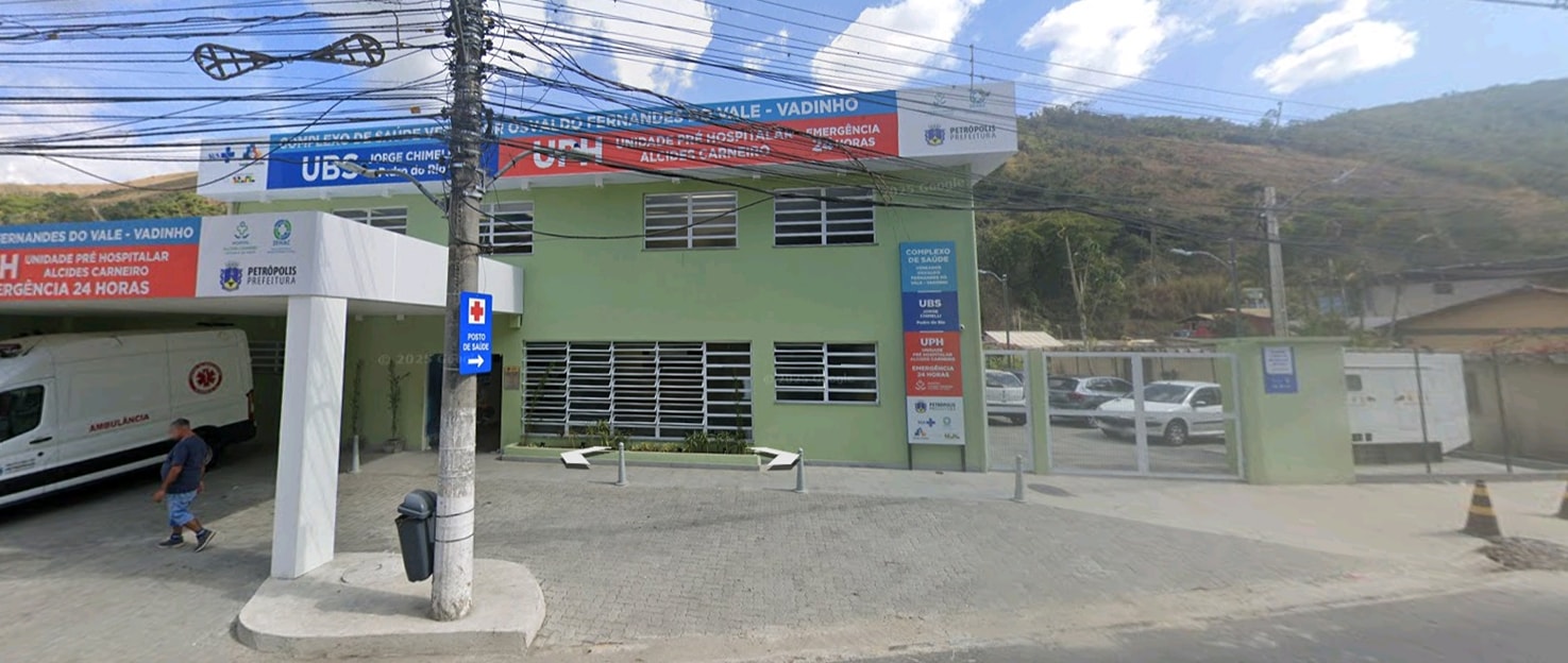 Picadas de cobras. 2