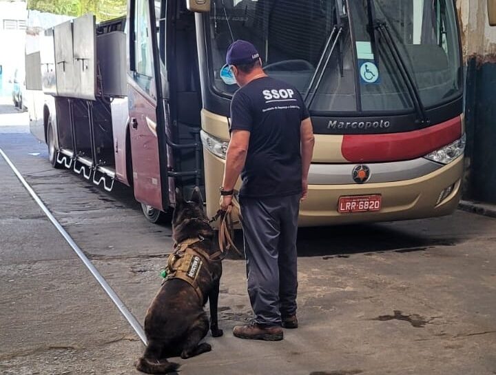 Guarda Civil faz treinamento para detecção de drogas.