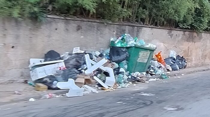 Ruas dos Distritos voltam a funcionar como depósito de lixo.