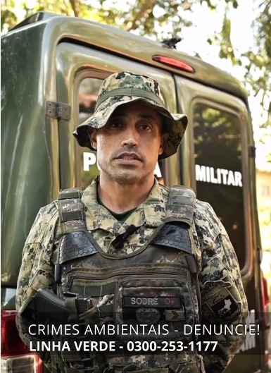 ICMBio e forças policiais resgatam 667 aves silvestres vítimas de tráfico no RJ