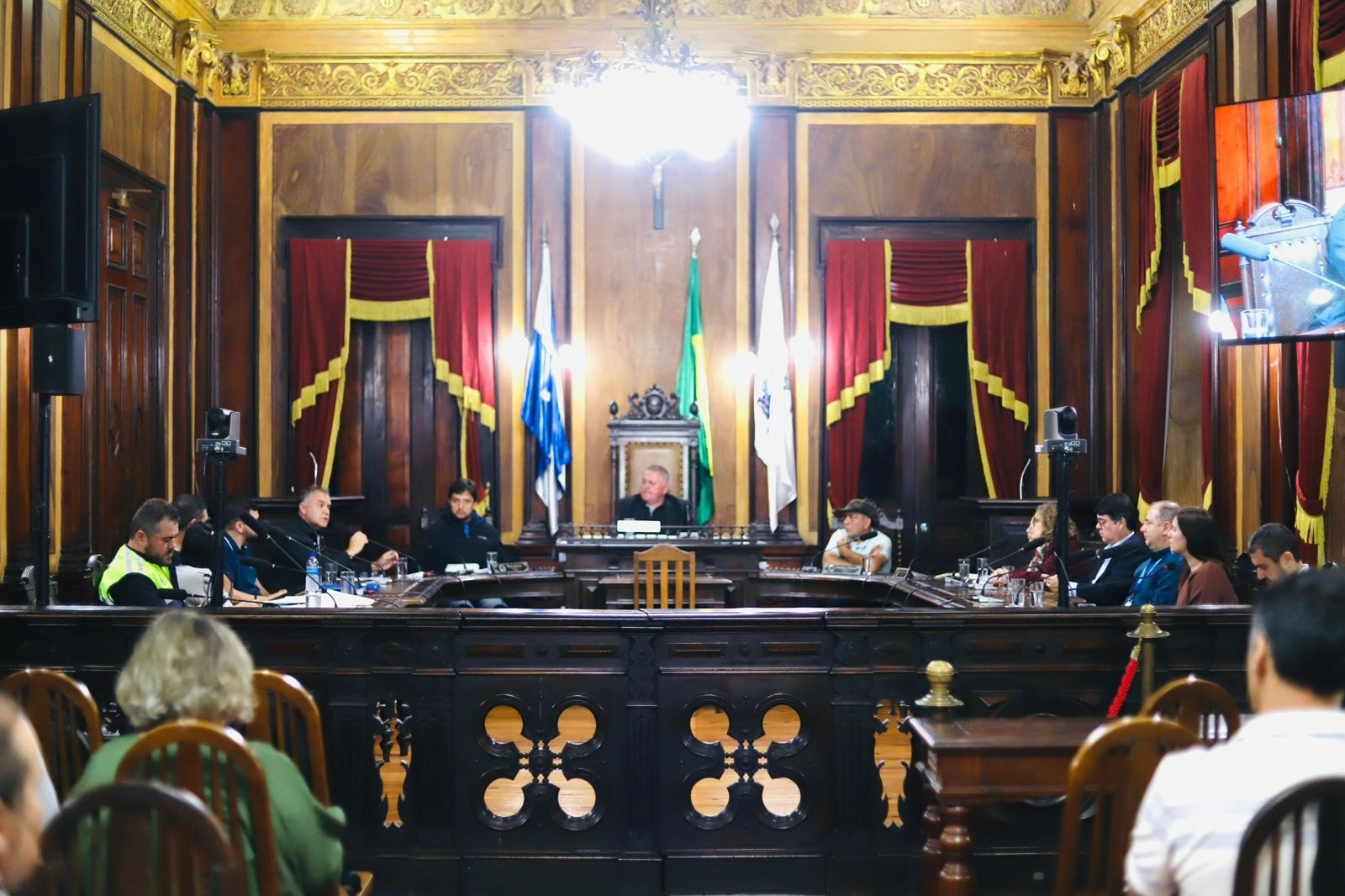 Câmara Cobra a ENEL: Audiência Pública Discute Qualidade da Energia em Petrópolis