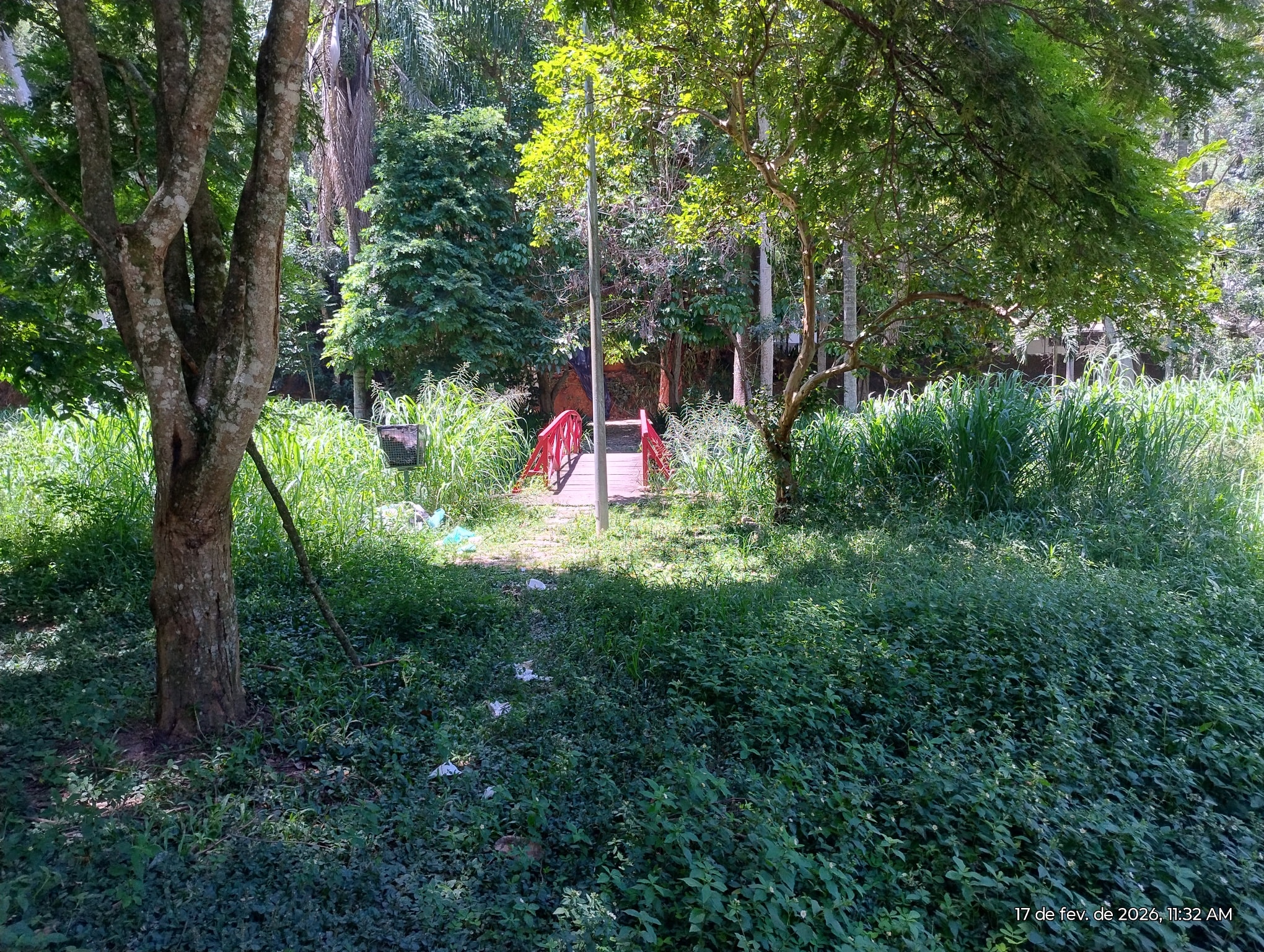 Lago de Nogueira novamente precisa de atenção