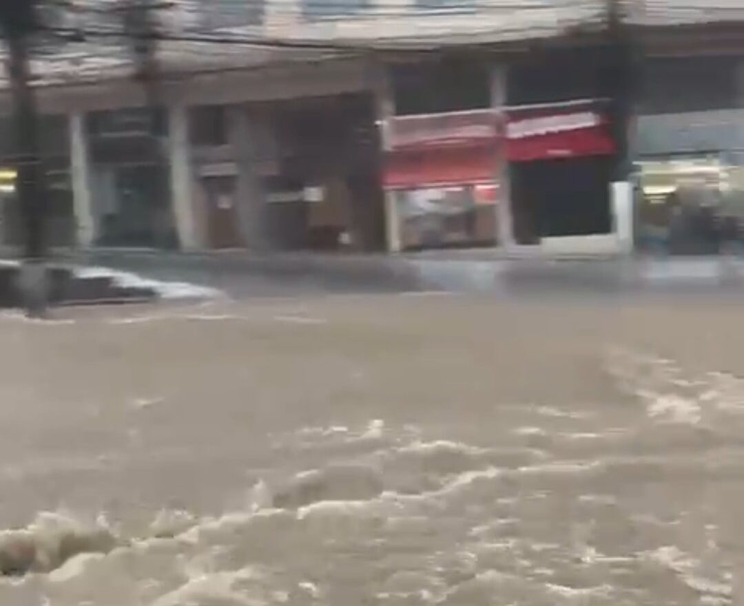 Acadêmicos de Niterói rebaixada no Carnaval 2026.