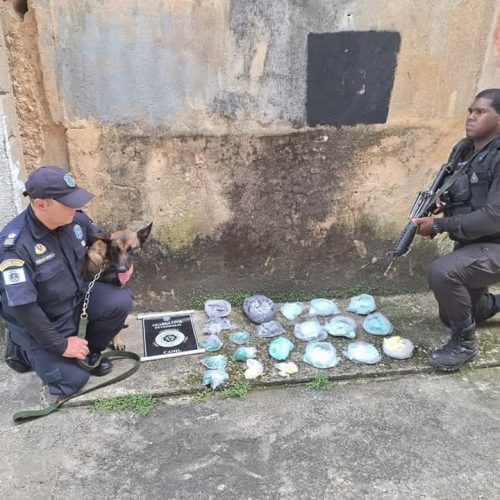 Cães do canil da Guarda Civil participam de grande apreensão de drogas. A operação, do 26° Batalhão da Polícia Militar e da Guarda Civil Municipal, realizada no "Sítio do Pica-pau" , no Thouzet, apreendeu 1.100 papelotes e 300 gramas de pasta básica de cocaína, maconha e drogas sintéticas, enterrados, que foram localizados pelos cães do Canil da Guarda Civil Municipal.