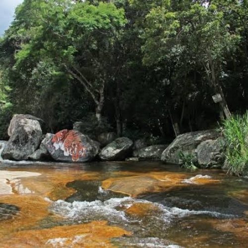 Tragédia na Cachoeira Reforça Importância da Segurança em Áreas Naturais